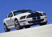 Shelby Cobra GT500 Show Car